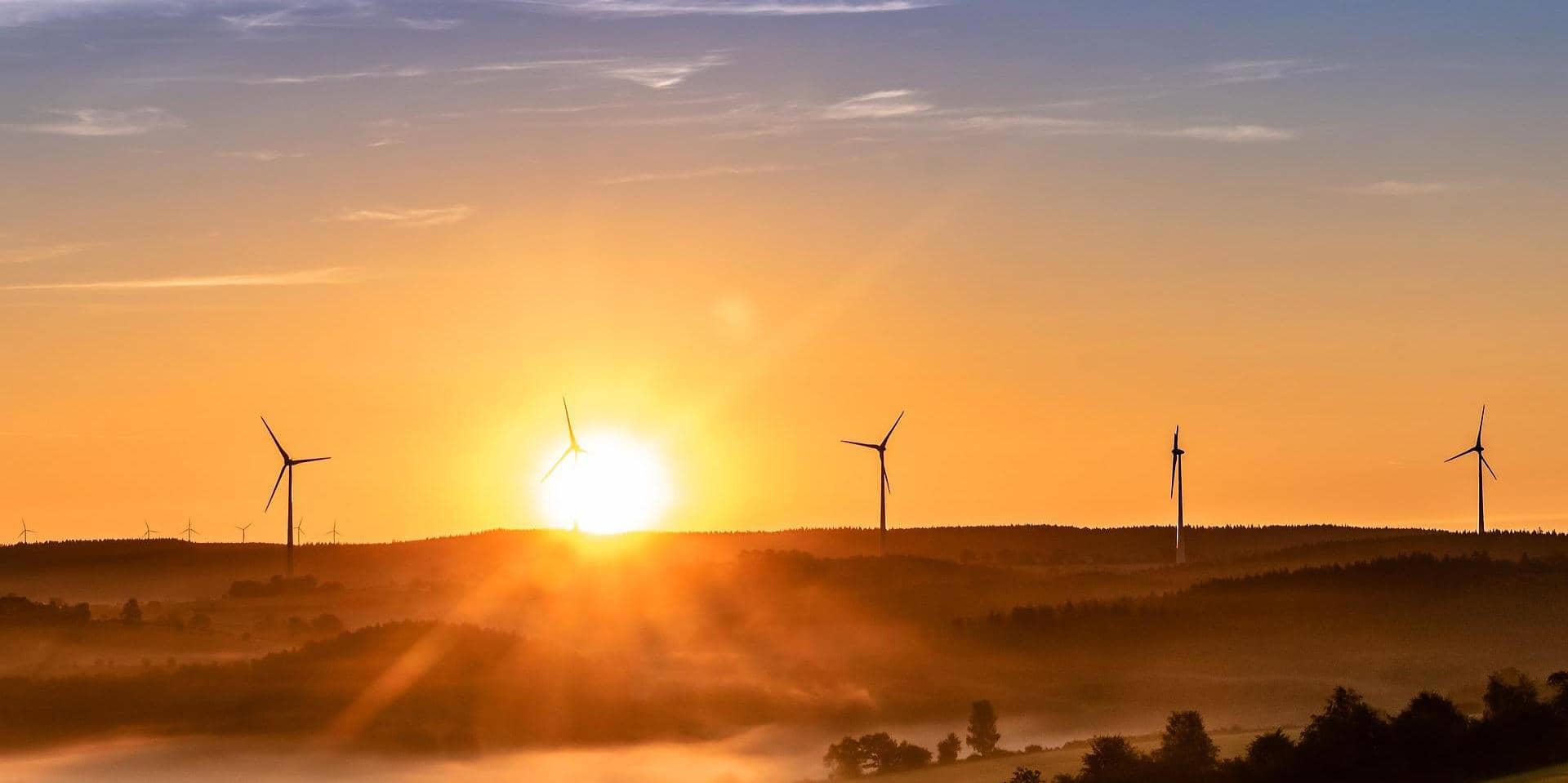 Sunrise over a misty landscape with silhouettes of wind turbines on the horizon, symbolizing action against spiralling energy prices.