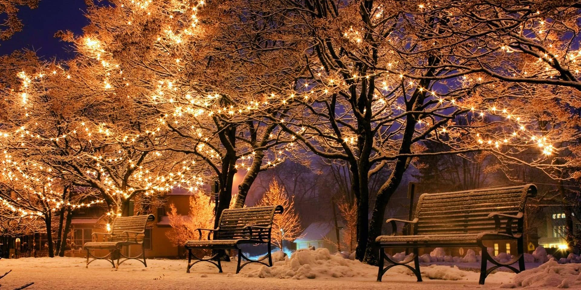Snow-covered park at night with benches and trees illuminated by warm Christmas lights, creating a cozy, winter atmosphere.